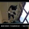 Мотив