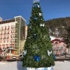 "Йолка площадная" "Йолка площадная"