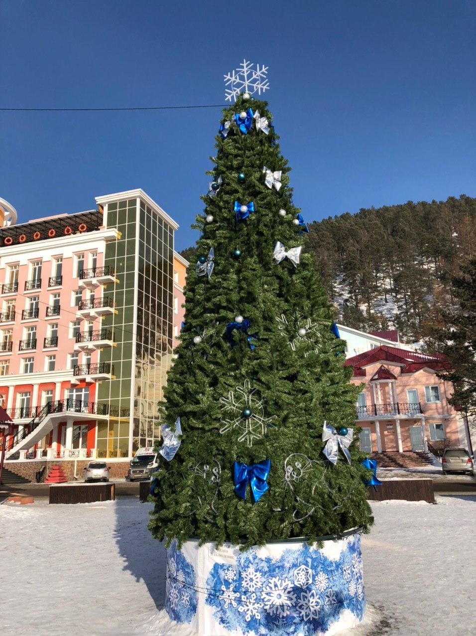 "Йолка площадная"