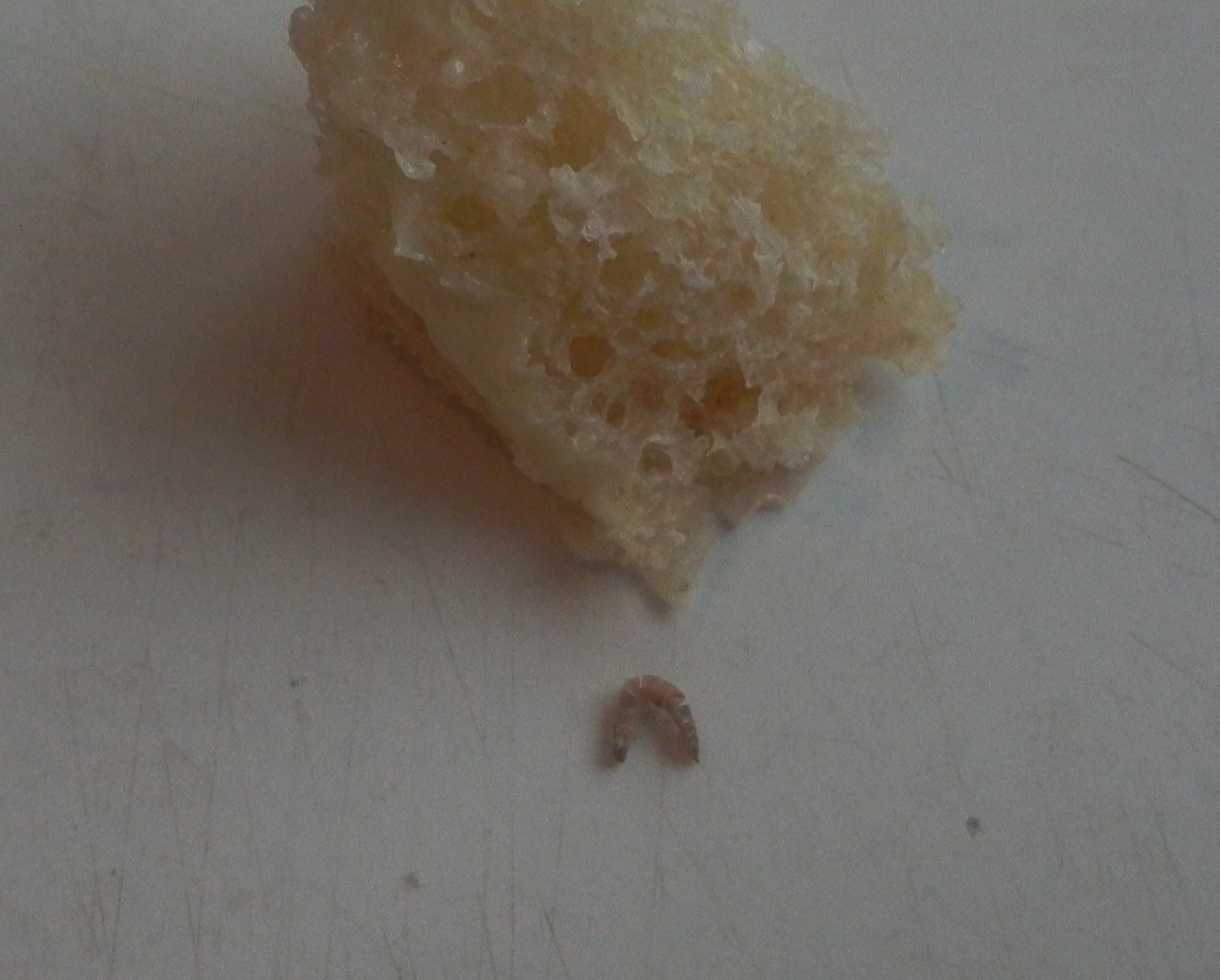 Хлеб от Каравая "Городской" с сюрпризом