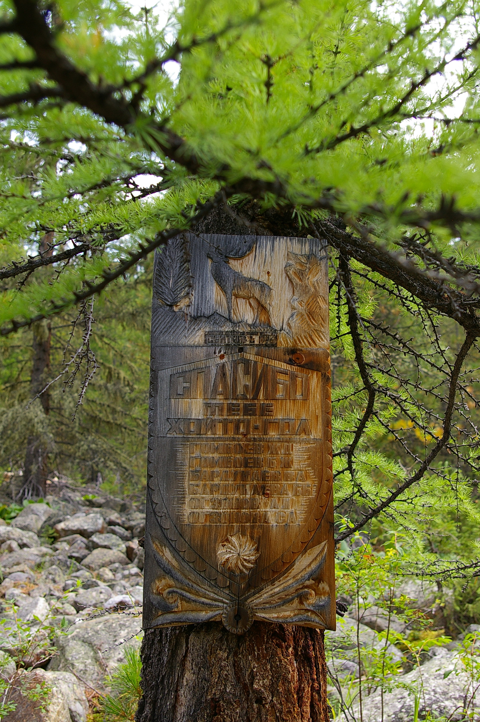 Спасибо, Хойтогол