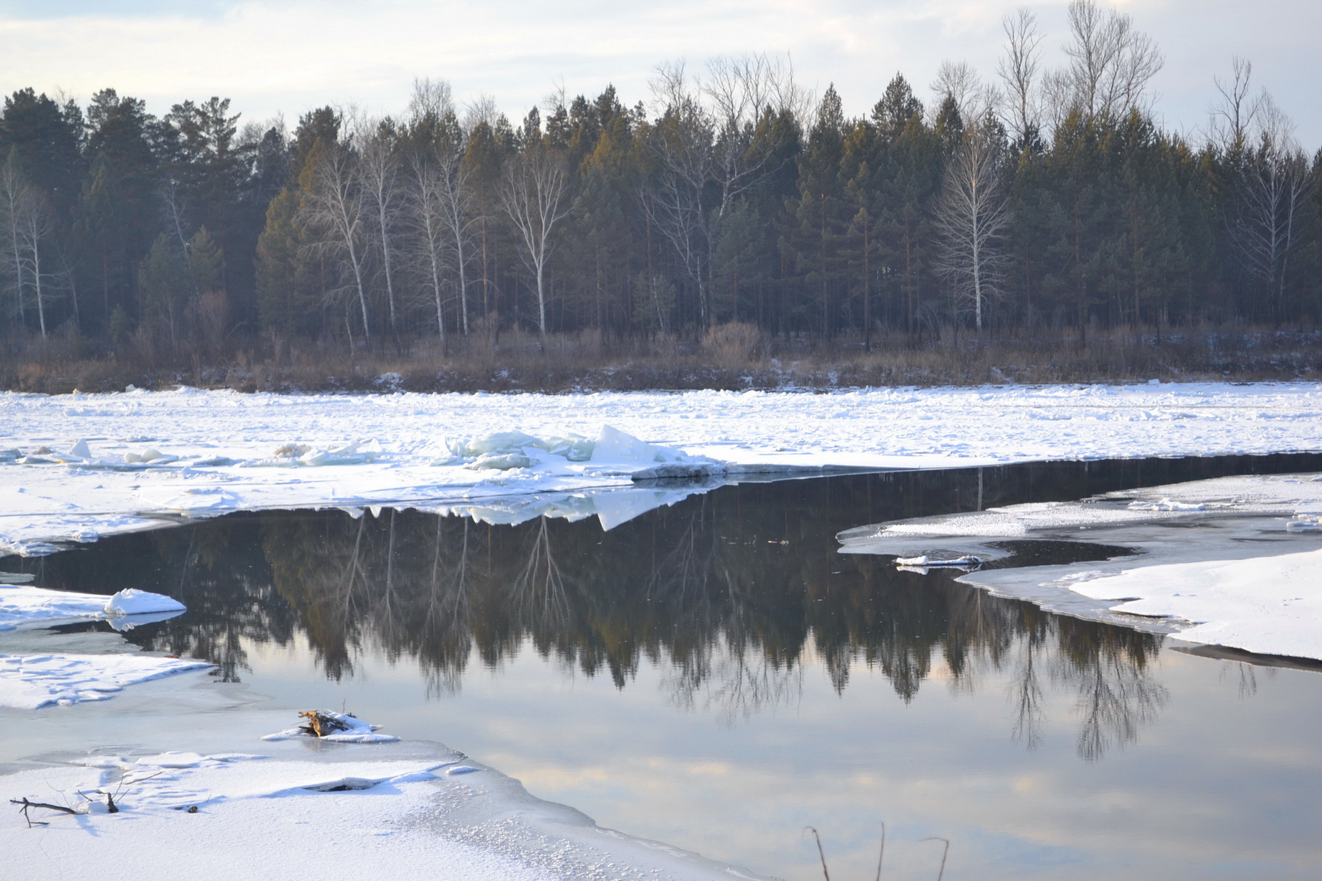 1 декабря)))))
