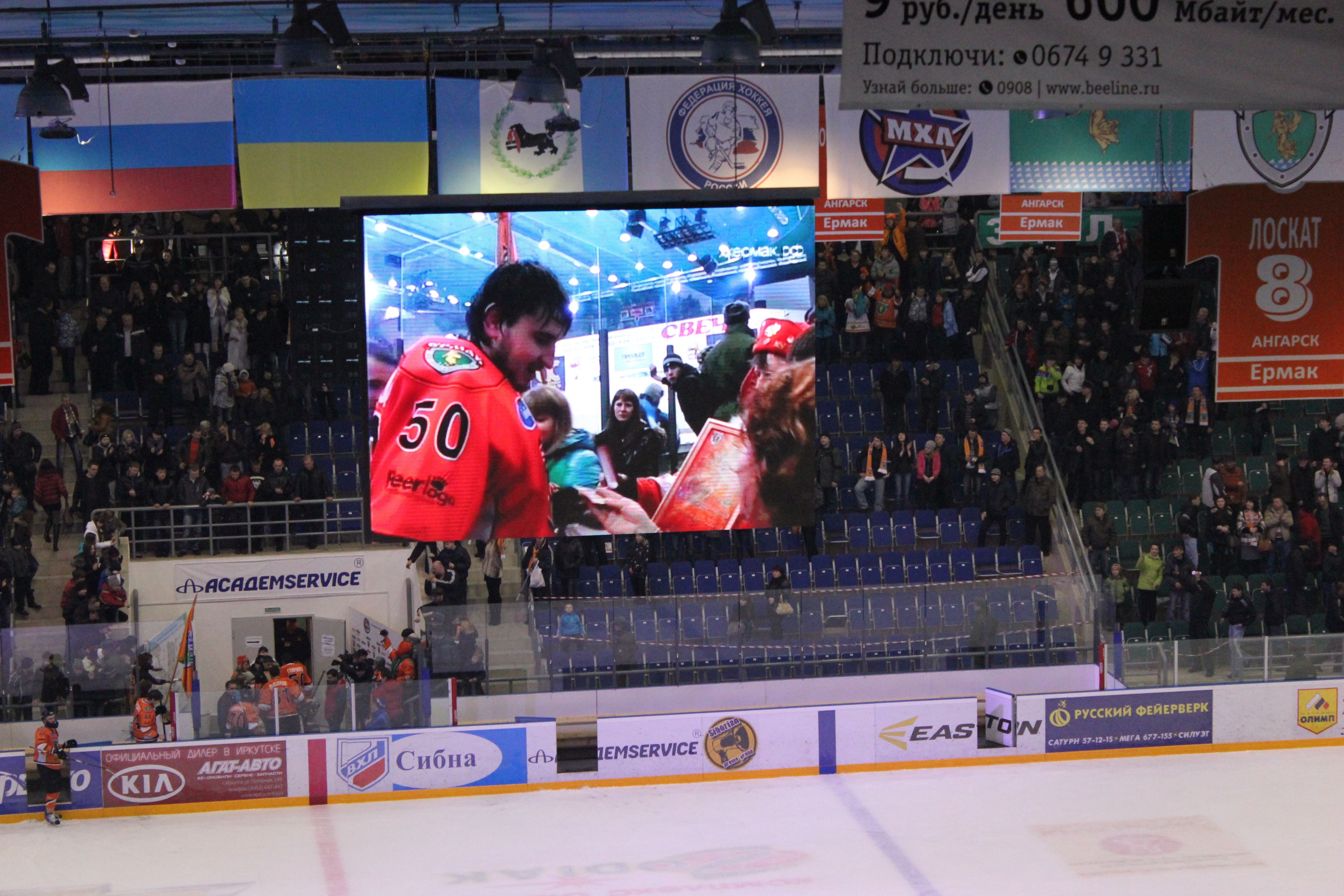 Любим своего ГАВРА!!!