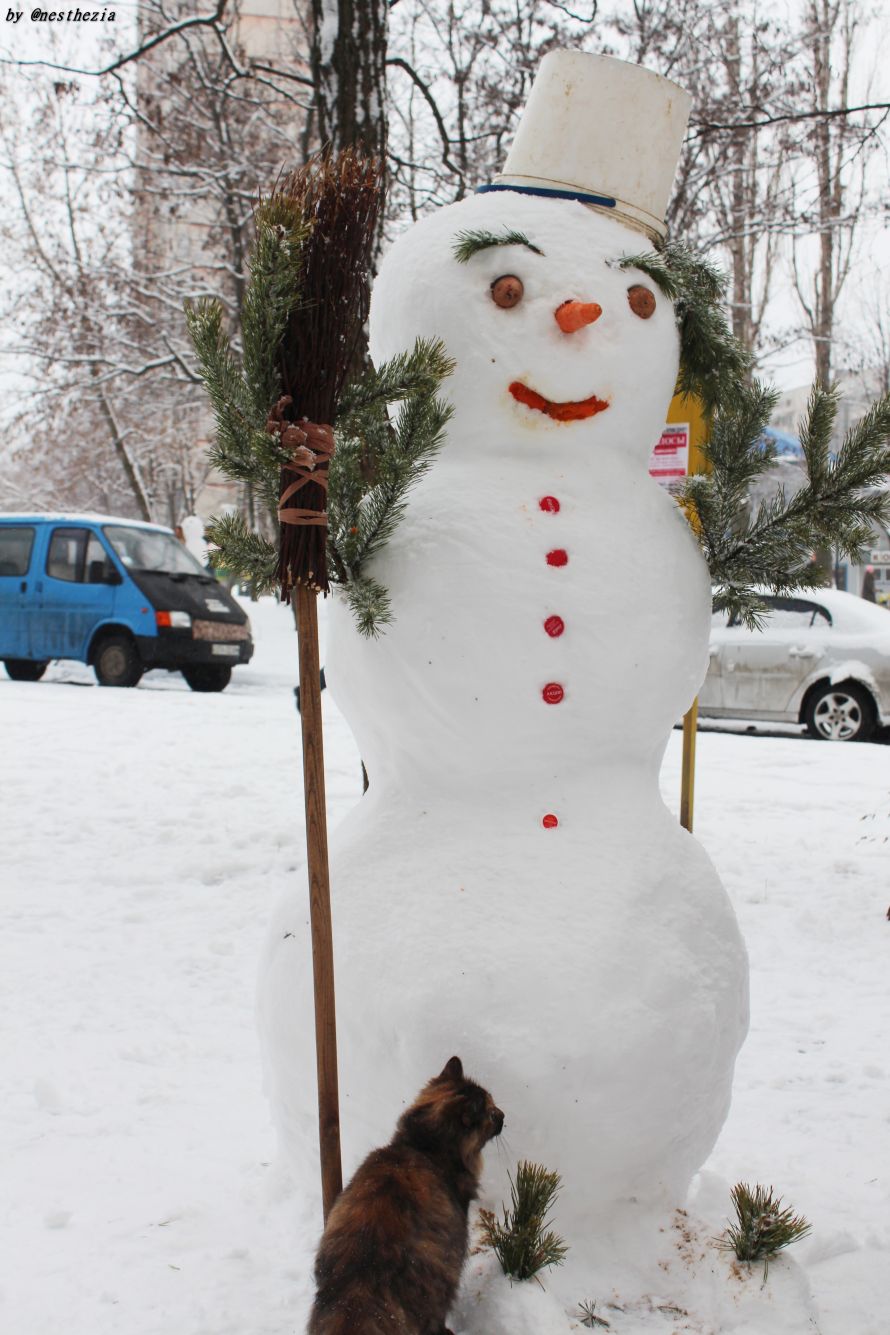 Снеговик и котэ