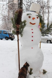 Снеговик и котэ