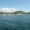 IMG 4164