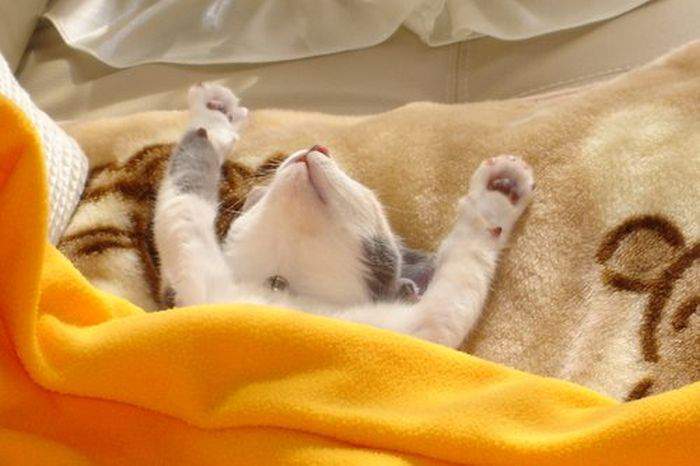 Хорошо когда все на работе!)))) 