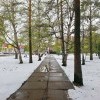 май у Силуэта))))) май у Силуэта)))))