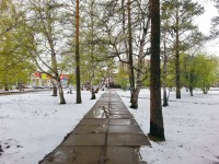 май у Силуэта)))))