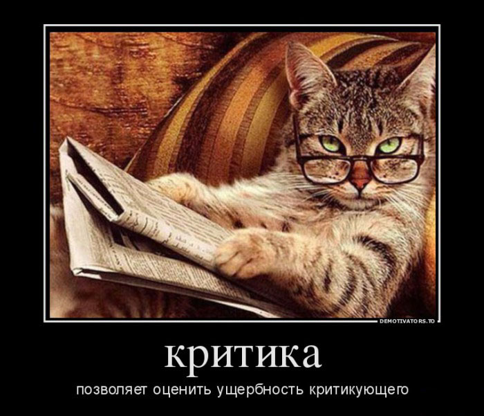 Критика