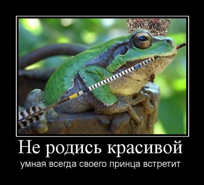Не родись красивой