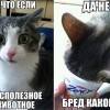 ))