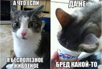 ))