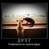 Друг Друг
