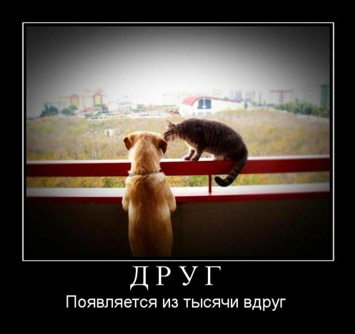Друг