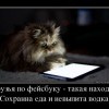 Друзья по фейсбуку