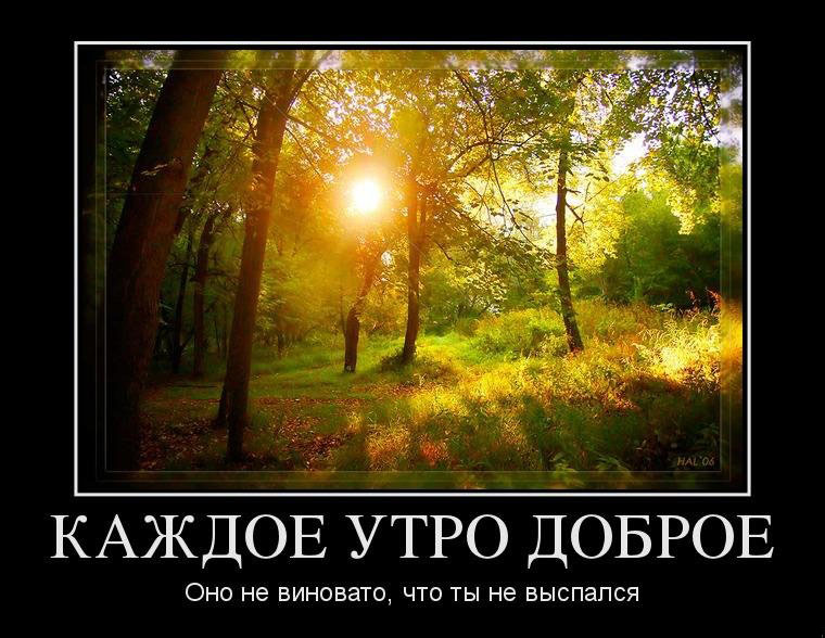 Доброе утро