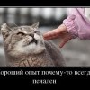 Хороший опыт