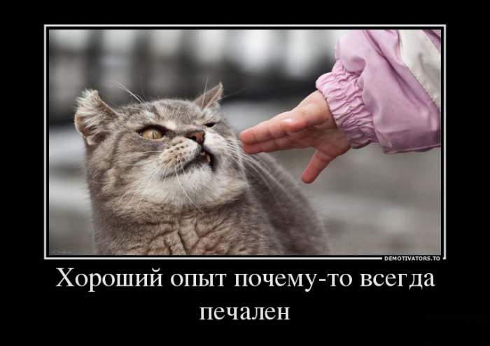 Хороший опыт