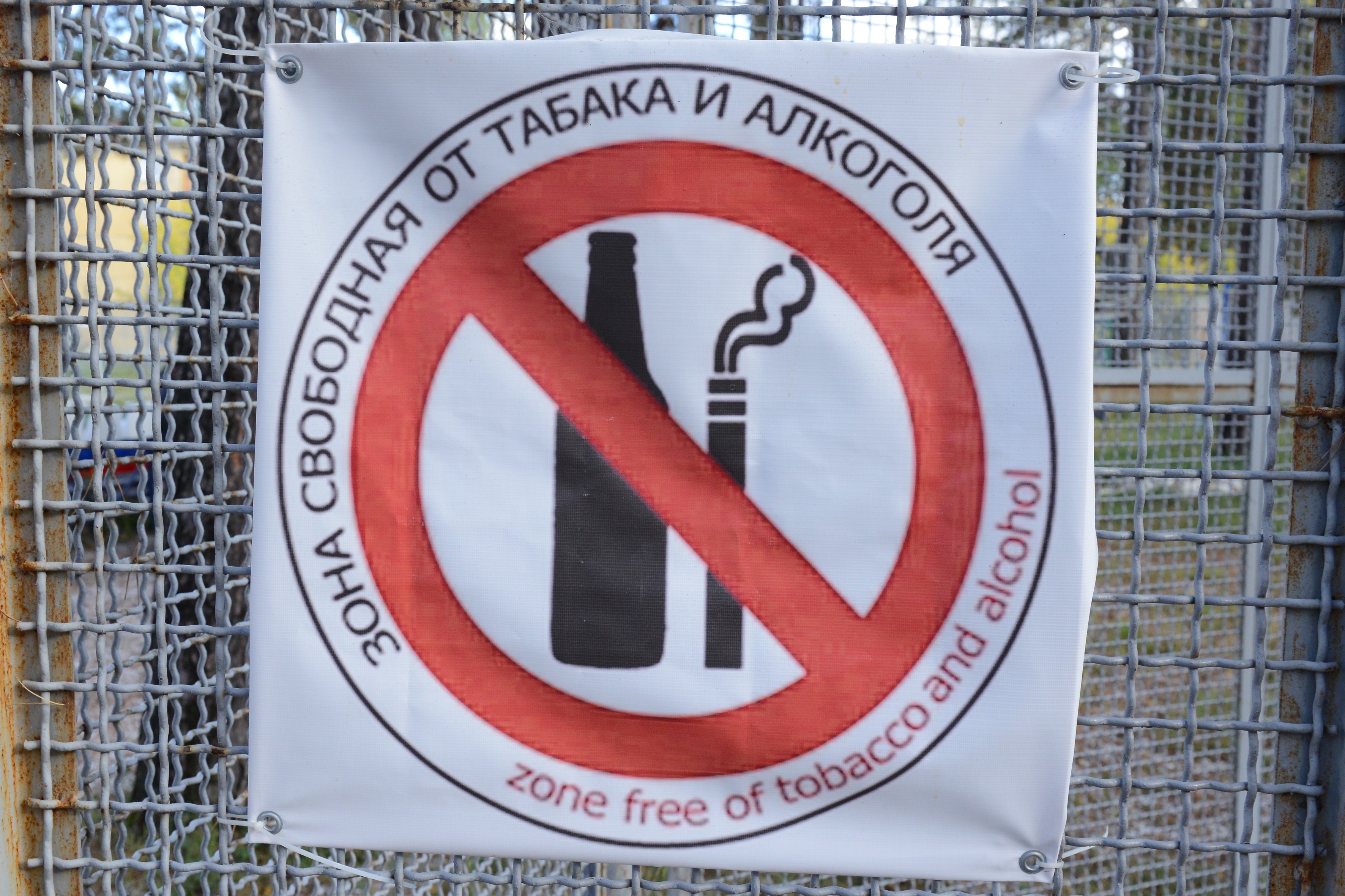 Кубок болельщиков Ермака 2014