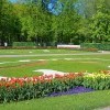 Моё, Санкт-Петербург, город, хорошо, Петергоф