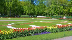 Моё, Санкт-Петербург, город, хорошо, Петергоф