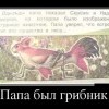 Папа,грибник Папа,грибник