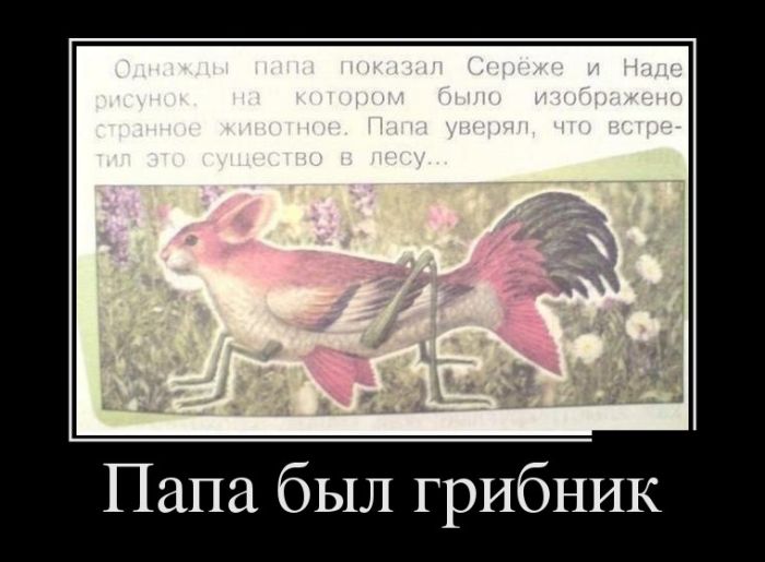Папа,грибник