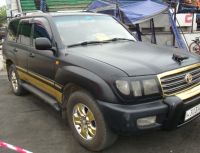 крокодиловый крузак