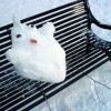Снеговик-попугай Кеша