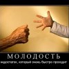 Молодость