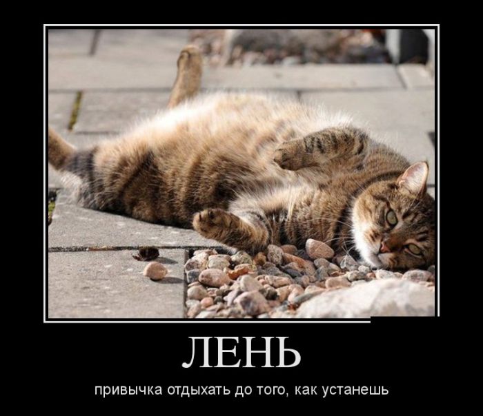 Лень