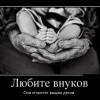 Любите внуков Любите внуков