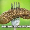 Как огурчик
