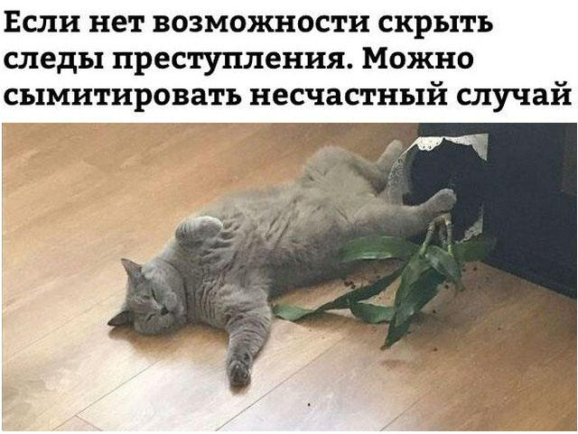 Несчастный случай