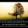 Деревья Деревья