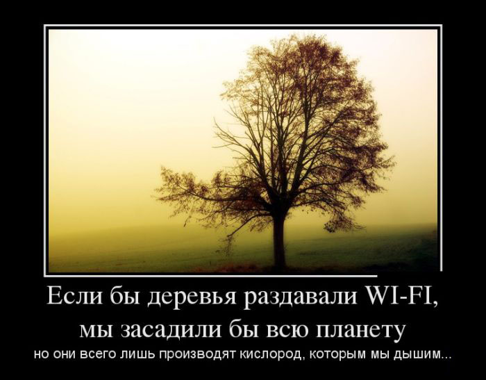 Деревья