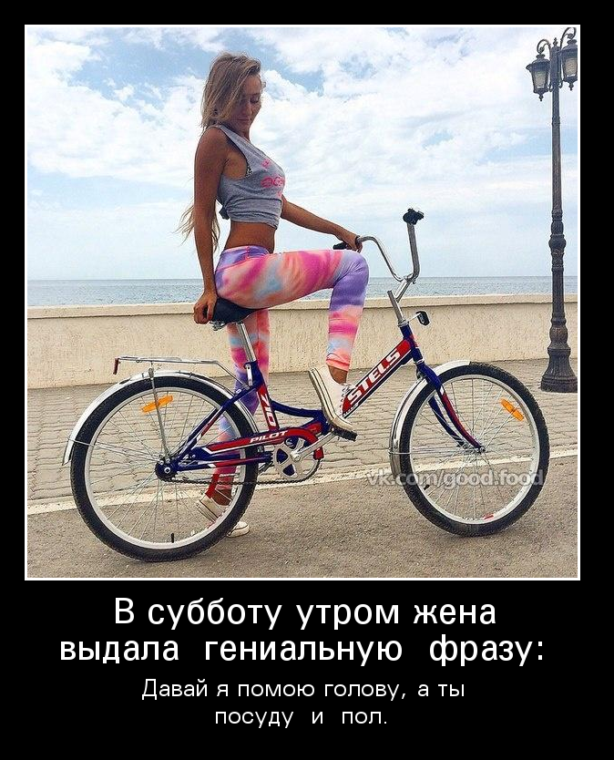 Гениальная фраза
