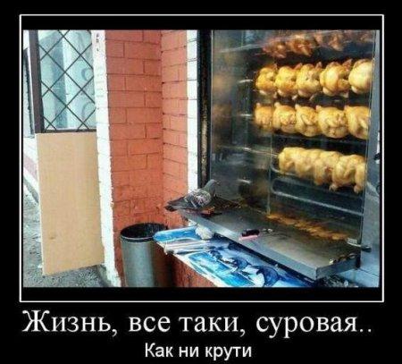 Жизнь