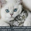 Счастье своё...