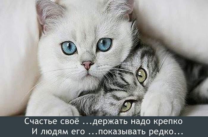 Счастье своё...