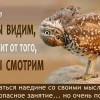 То,что мы видим...
