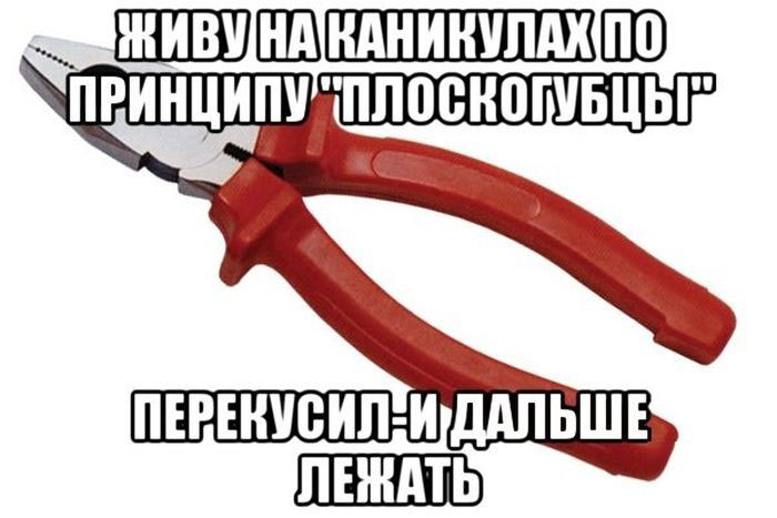 Принцип-плоскогубцы
