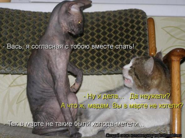 26e6c22c6339f70ea0befc71c60 prev