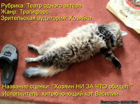8b105d9c1c123f7311ccaf47300 prev
