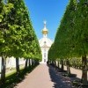 Моё, Санкт-Петербург, город, хорошо