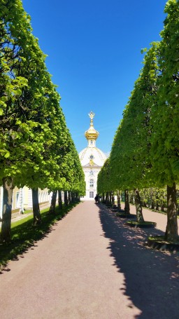Моё, Санкт-Петербург, город, хорошо