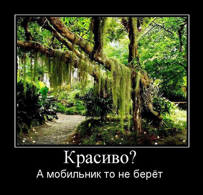 Красиво? А мобильник не берет...