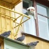 Страсть Страсть