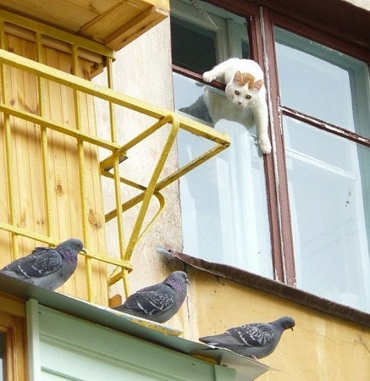 Страсть